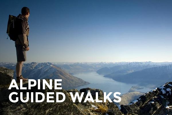 alpine-guided-walks-basecamp-adventures